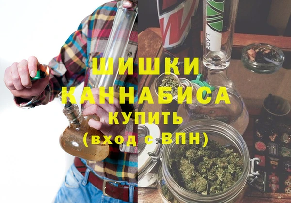 ГАЛЛЮЦИНОГЕННЫЕ ГРИБЫ Аркадак