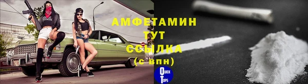 ГАЛЛЮЦИНОГЕННЫЕ ГРИБЫ Аркадак