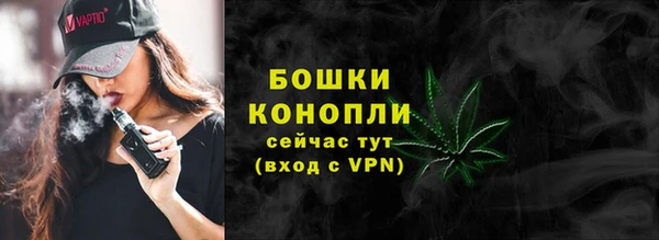 ГАЛЛЮЦИНОГЕННЫЕ ГРИБЫ Аркадак