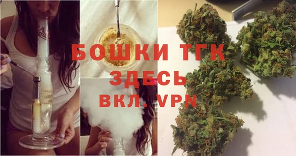 ГАЛЛЮЦИНОГЕННЫЕ ГРИБЫ Аркадак