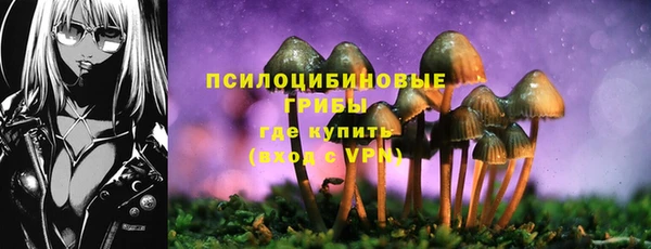 дурь Армянск